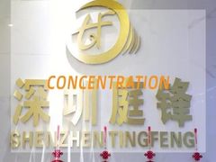 Shenzhen TingFeng Hardware Products Co.,Ltd